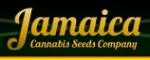 Jamaica Seeds's image