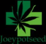 Joeypotseed's image