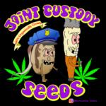 Joint Custody Seed Co's image