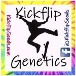 Kickflip Genetics's image