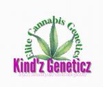 Kind'z Geneticz's image