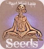 Bald man Lala Seeds's image