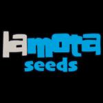 LaMota Seeds's image