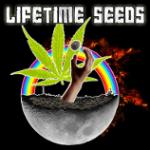 Lifetime Seeds's image