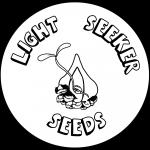 Light Seeker Seeds's image