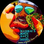 MadMac's Magic Haze Seeds's image