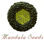 Mandala Seeds's image