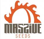 Massive Seeds's image