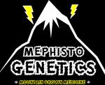 Mephisto Genetics's image