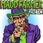 Madd Farmer Genetics's image