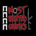 Most Wanted Genetics's image