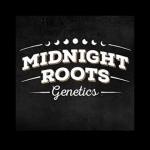 Midnight Roots Genetics's image