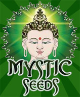 Mystic Seeds's image