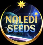 Naledi Seeds's image