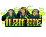 Nilsson Seeds's image