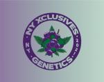 Nyxclusives Genetics's image