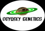 Odyssey Genetics's image