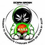 Ocean Grown 562's image