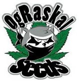 OG Raskal Genetics's image