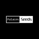 Palaces Seeds's image