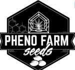 Pheno Farm Seeds's image