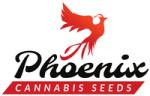 Phoenix Seeds's image