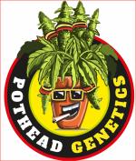 Pothead Genetics's image