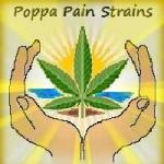 Poppa Pain Strains's image