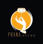 Prana Seeds's image