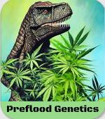 PreFloodGenetics's image