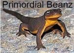 Primordial Beanz's image