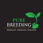 Pure Breeding's image