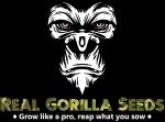 Real Gorilla Seeds's image