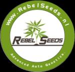 Rebel Seeds's image