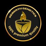 Reberth Genetics's image