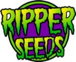 Ripper Seeds's image