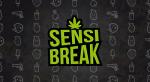 Sensi Break's image