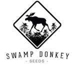 Swamp Donkey Seeds's image