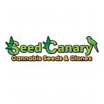 Seed Canary's image