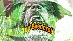 Top Seedcret's image