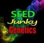 Seed Junky Genetics's image