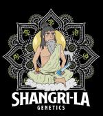 Shangri-La Genetics's image