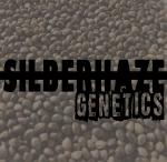 Silberhaze Genetics's image