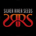 Silver River Seeds's image