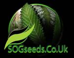 SOG Seeds's image