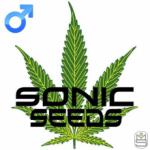 Sonic-Seeds's image