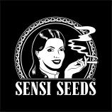 Sensi Seeds's image