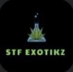 STF Exotikz's image