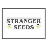 Stranger Seeds's image