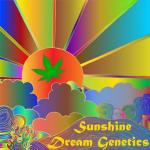 Sunshine Dream Genetics's image